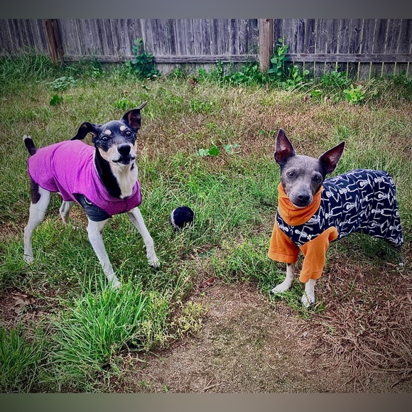 Meet your Posher, Sarah - Picture 14 of 17